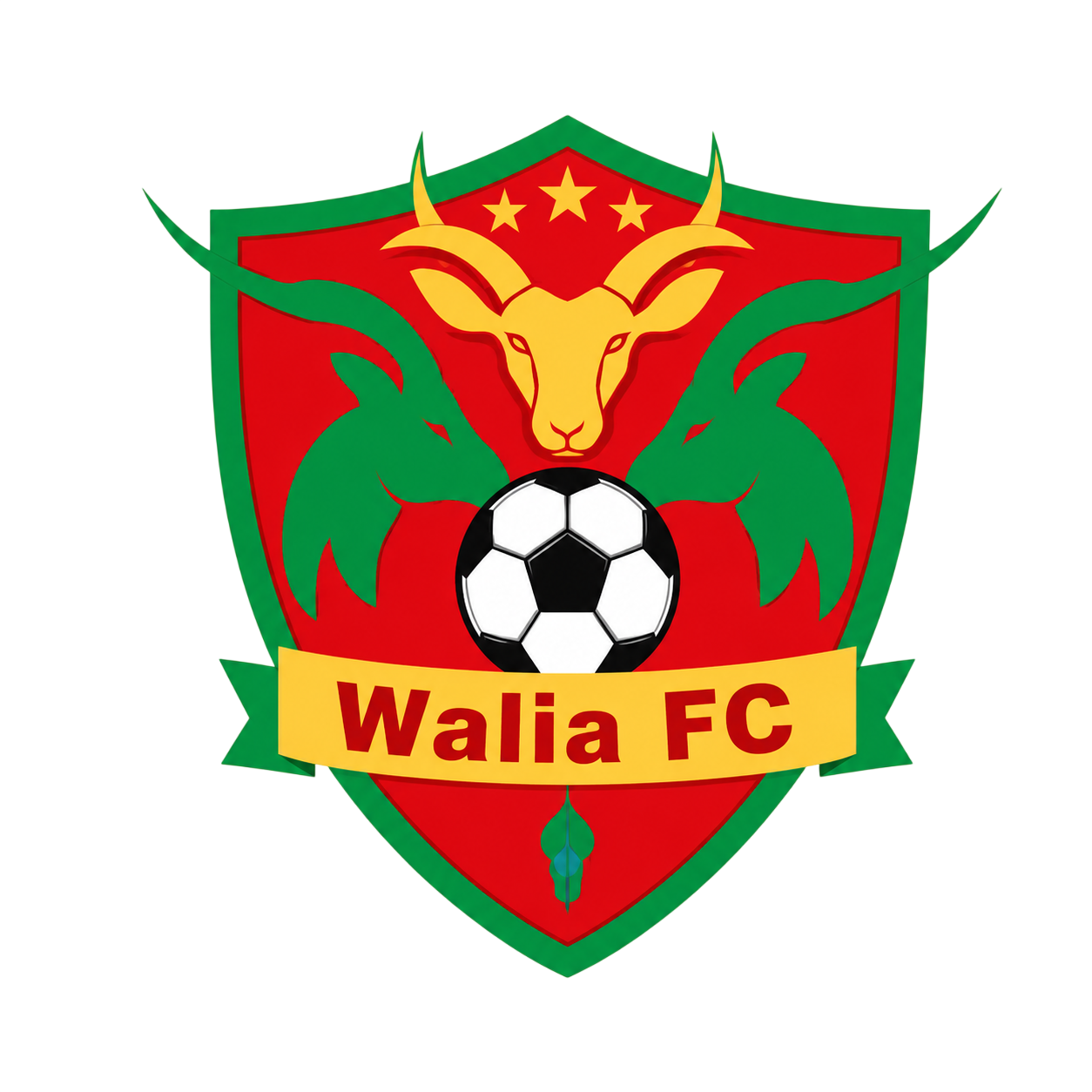 Walia FC